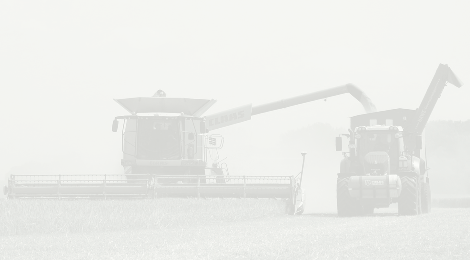 Fondo Agrogente